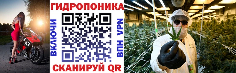 Канабис тримм мориарти наркотические препараты Алапаевск